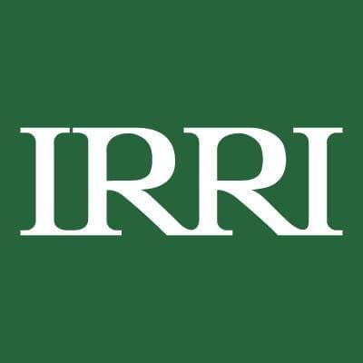 IRRI Logo